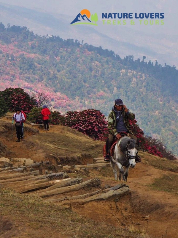 Ghorepani-abc
