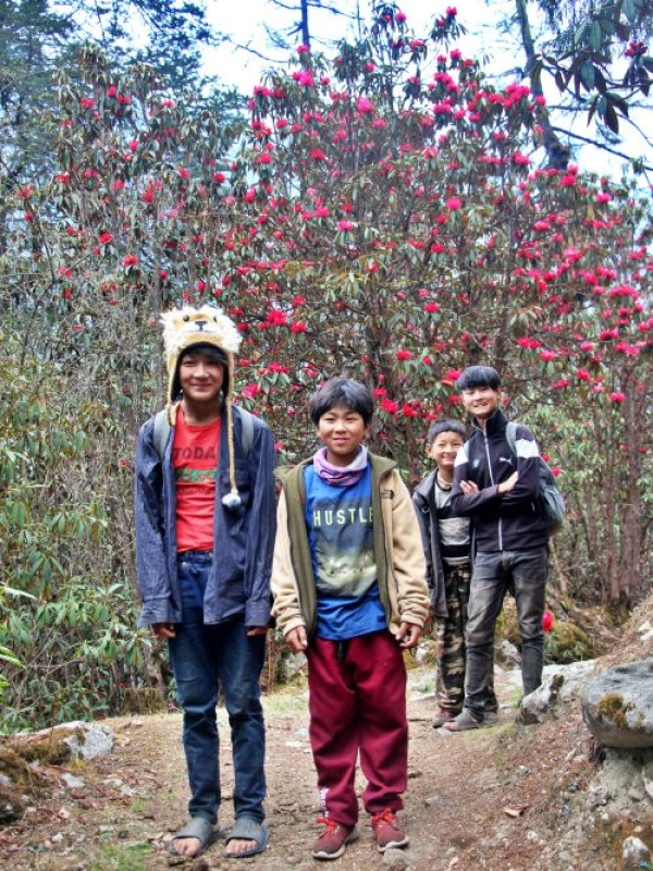 Website Update and Brand Refresh Announcement