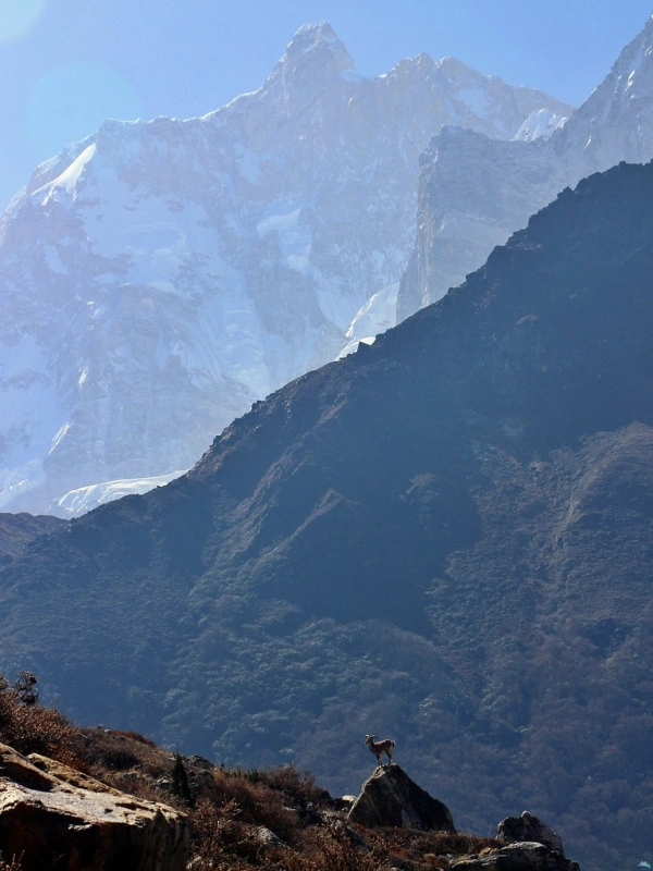 Kanchenjunga Region Treks