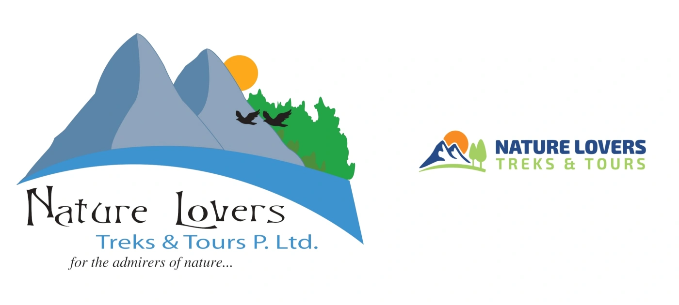 Website Update and Brand Refresh Announcement