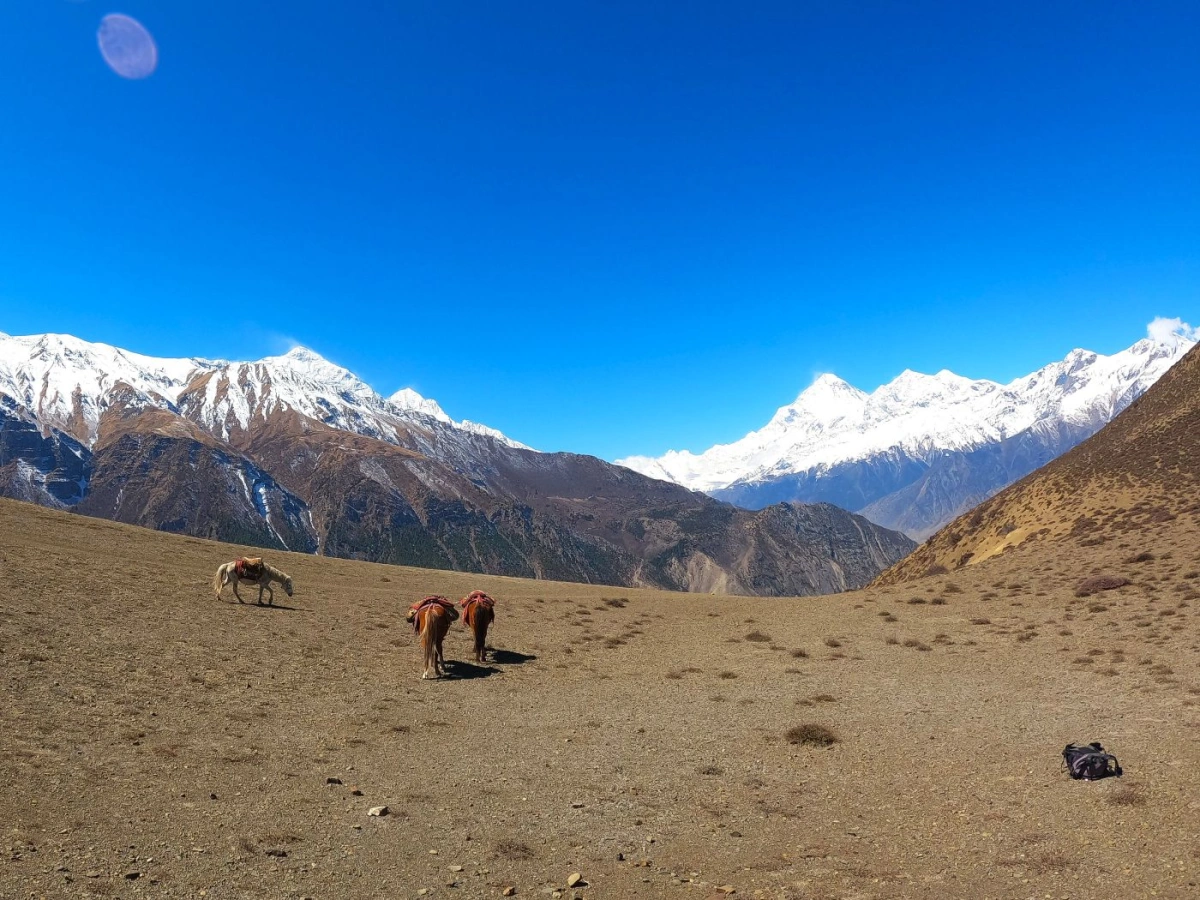 mustang-horse-riding-trek-tour