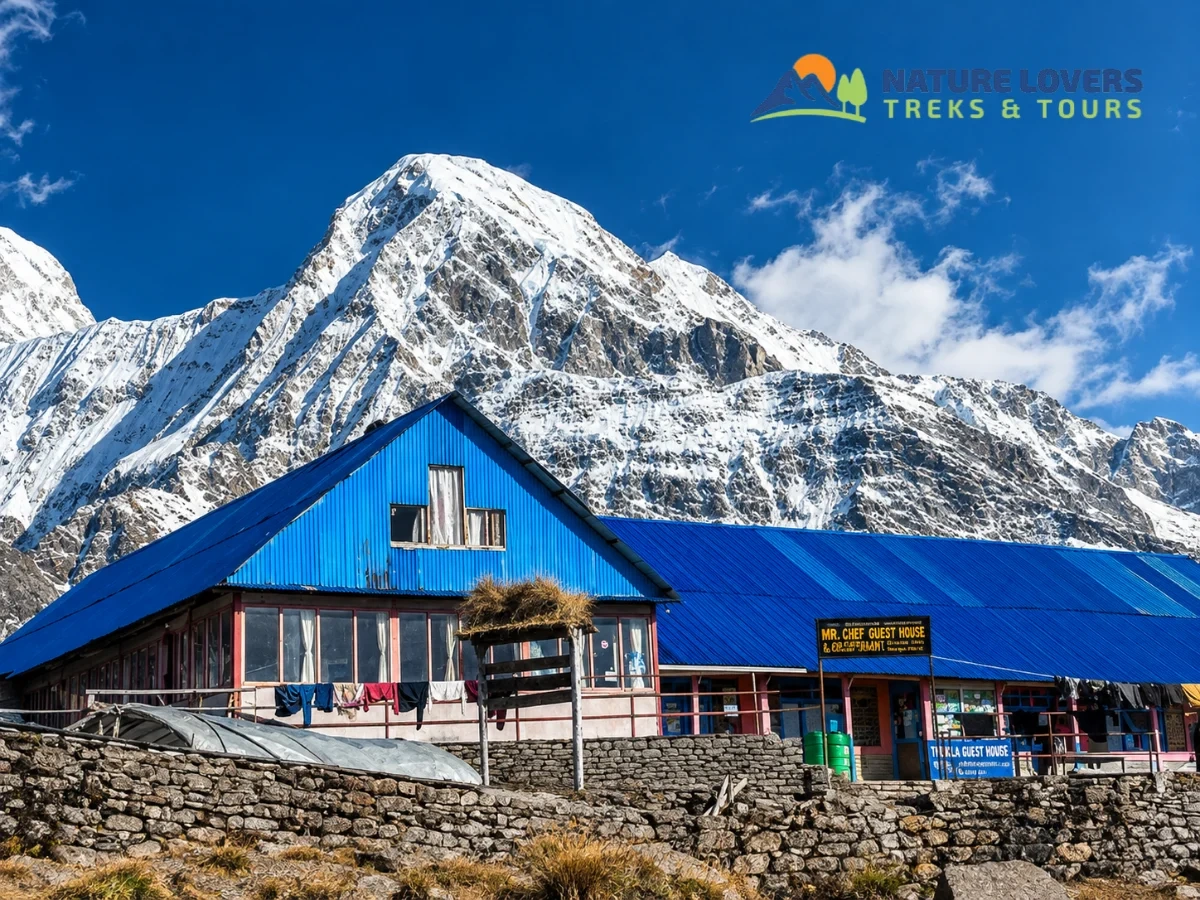 Mardi-Himal-View