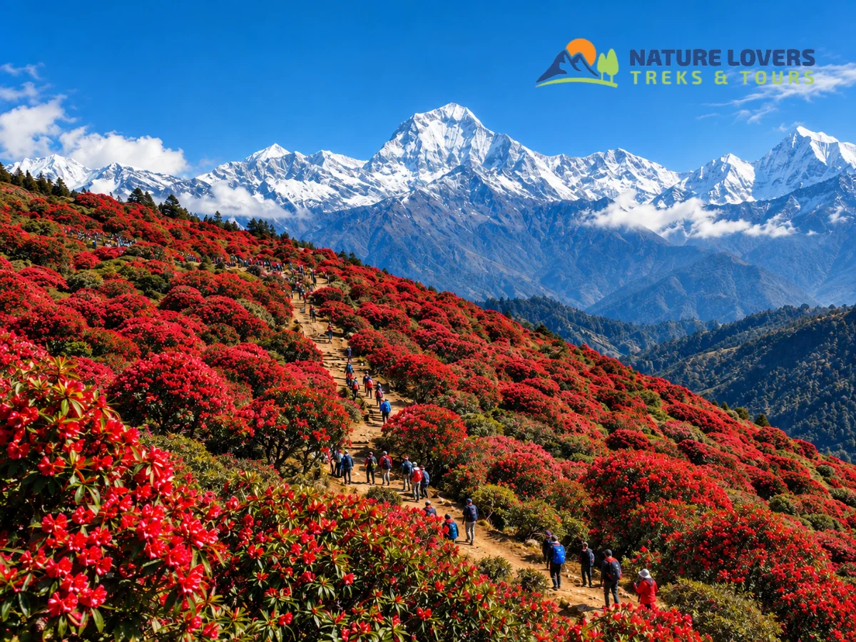 Annapurna-Rhododendron-Forest