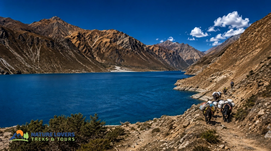 Dolpo-Trek