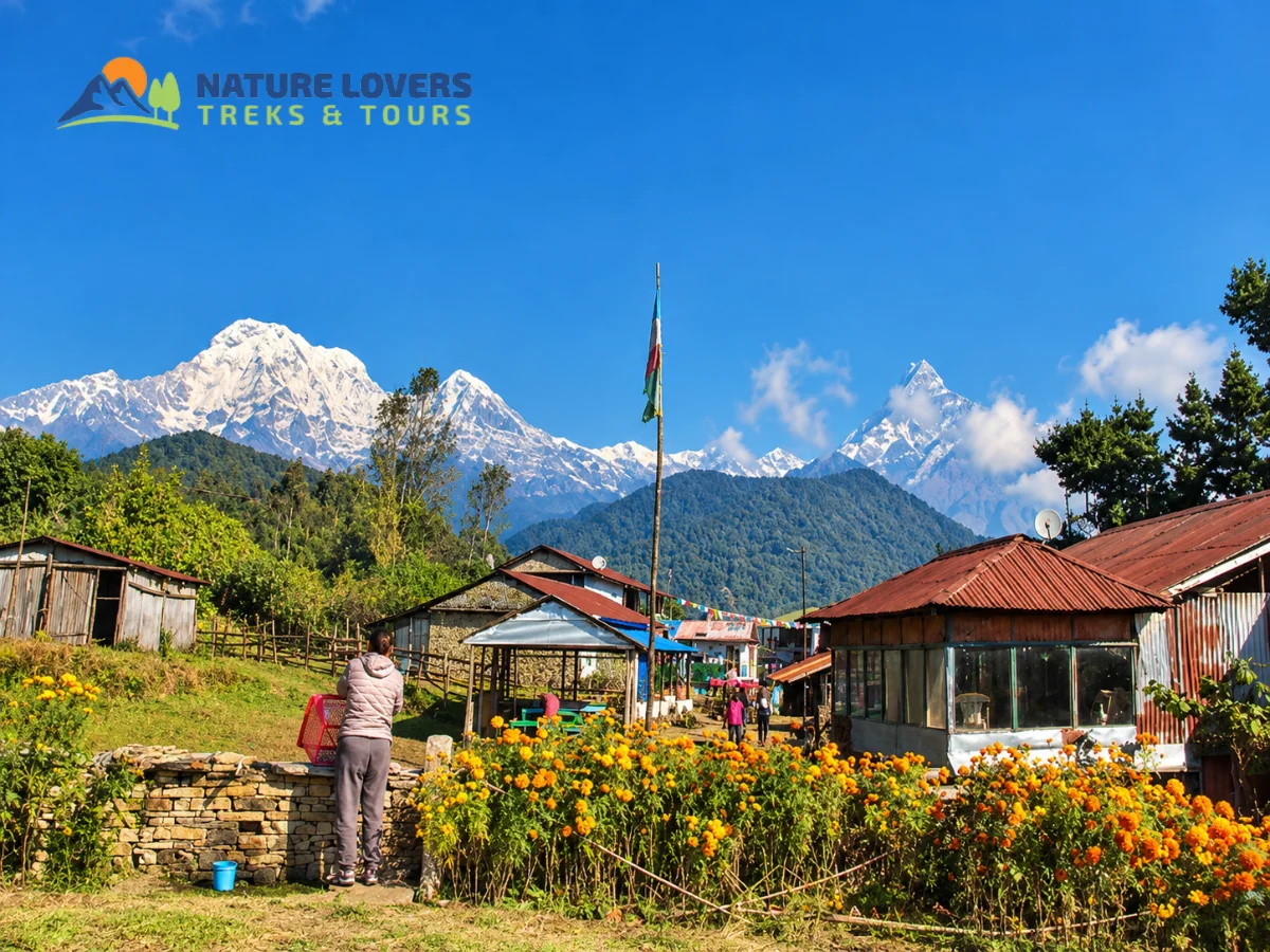 Pothana-Village