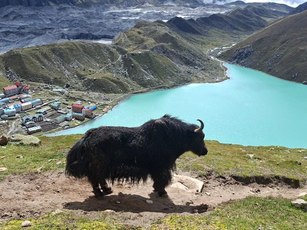Gokyo Valley