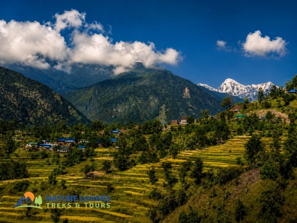 Raute Village
