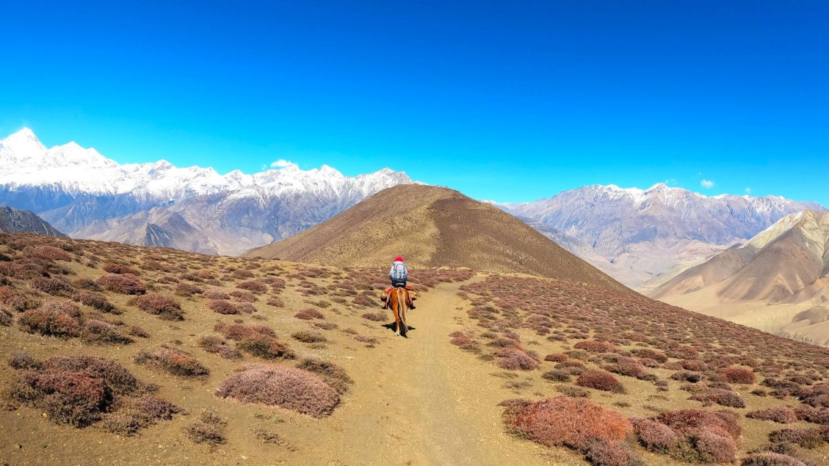 Mustang Horse Riding trek and tour